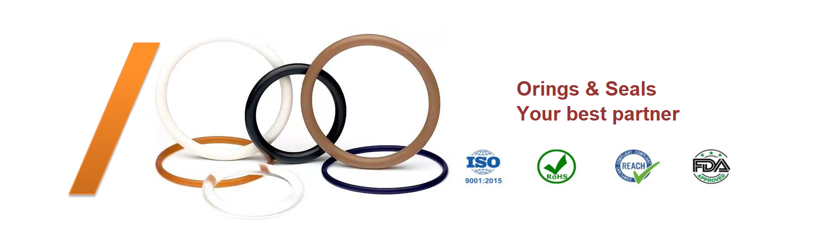 Oil Seals